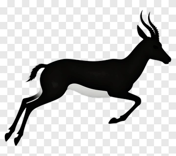 Black Antelope Silhouette PNG