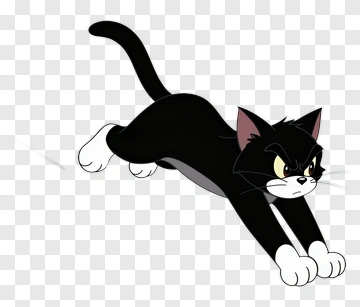 Black Cat In Motion PNG