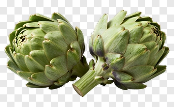 Artichoke PNG