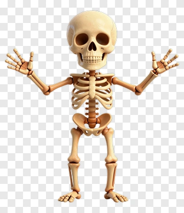 Skeleton Toy PNG