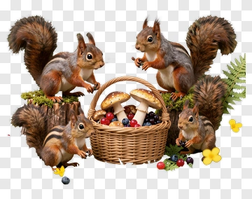 Squirrels With Basket Of Mushrooms And Berries PNG
