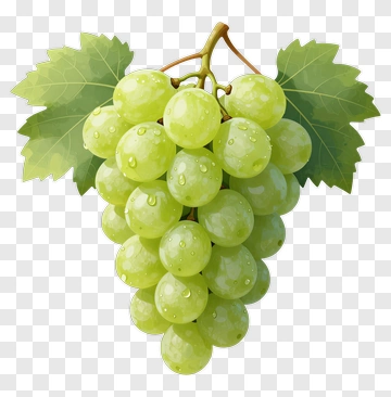 Cluster Of Fresh Green Grapes PNG