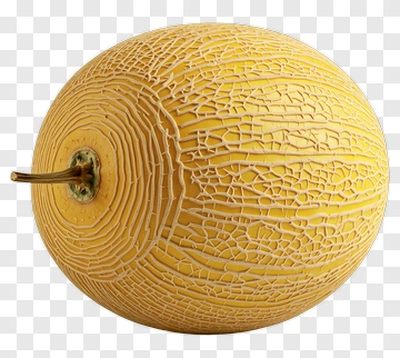 Yellow Melon PNG