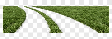 Winding Path Through Green Grass PNG