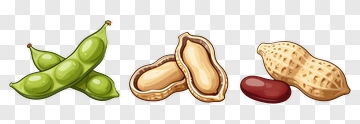 Soybean Peanut And Red Bean PNG