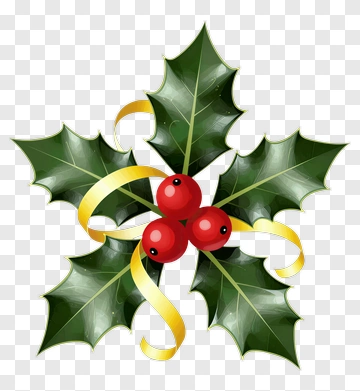 Holly Berries With Gold Ribbon PNG