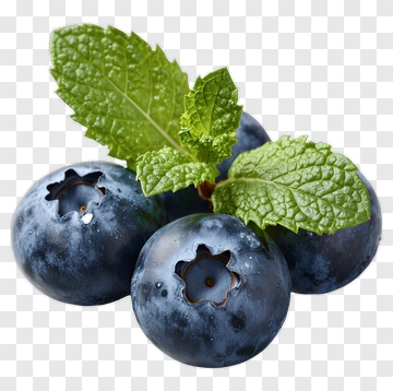 Fresh Blueberries With Mint Leaf PNG