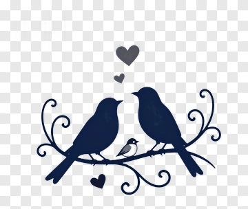 Two Birds And Heart On Branch PNG