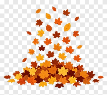 Falling Maple Leaves In Autumn PNG