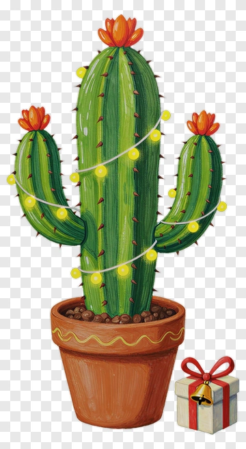 Cactus With Christmas Lights And Gift PNG