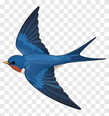 Blue Swallow In Flight PNG