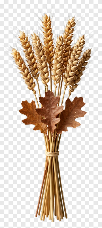Bouquet Of Wheat And Autumn Leaves PNG