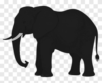 Black Elephant Silhouette PNG