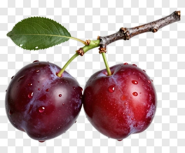 Fresh Plum Fruit With Leaf PNG