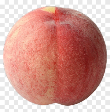 Fresh Peach PNG