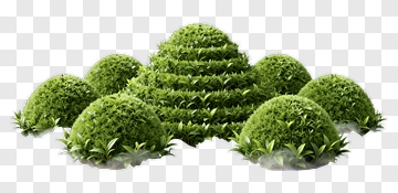 Topiary Bush Landscape PNG