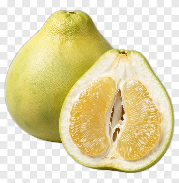 Fresh Pomelo Fruit PNG