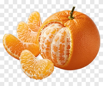 Mandarin Orange With Segments PNG