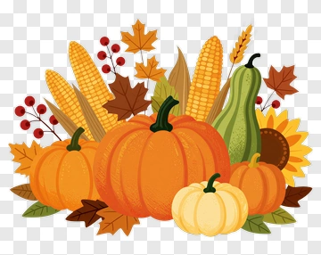 Autumn Harvest Bouquet PNG