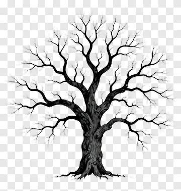 Bare Tree With Intricate Branches PNG