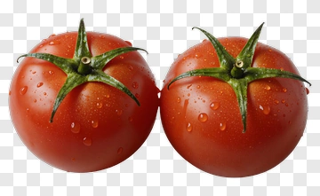 Two Fresh Tomatoes With Water Droplets PNG