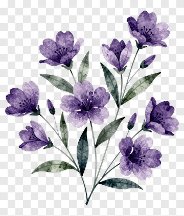 Purple Watercolor Flower Bouquet PNG