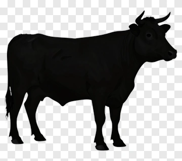 Black Bull Silhouette PNG