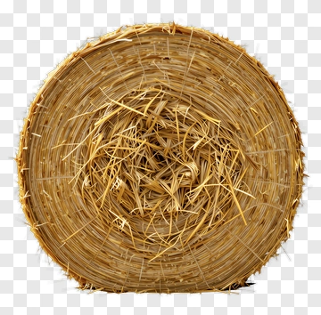 Top View Of A Hay Bale PNG