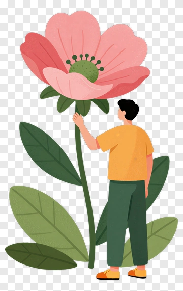 Person Holding Large Pink Flower PNG
