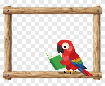 Red Parrot Reading A Book PNG