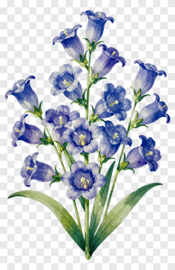 Blue Bellflower Watercolor PNG