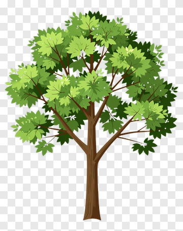 Tree With Green Leaves And Brown Trunk PNG