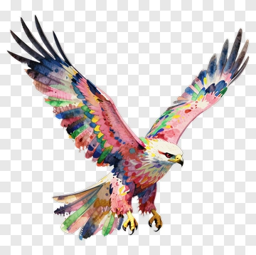 Colorful Eagle In Flight PNG