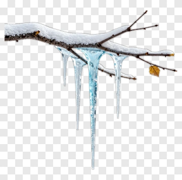Ice Icicles Hanging From Snowy Branch PNG