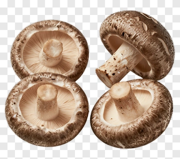 Shroom PNG