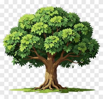 Cartoon Tree With Green Leaves PNG