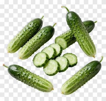 Fresh Cucumber PNG