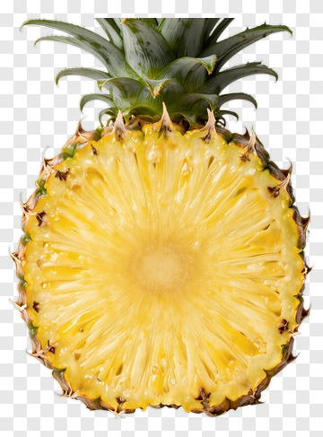 Sliced Pineapple PNG