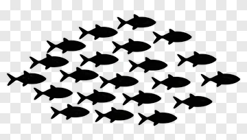School Of Fish PNG