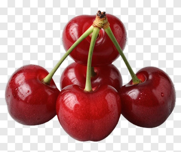 Fresh Red Cherries With Stems PNG