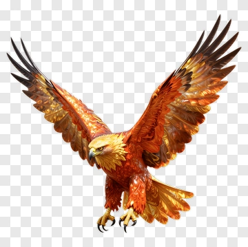 Golden Eagle Soaring With Outstretched Wings PNG