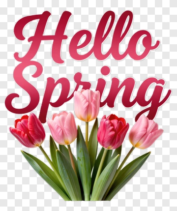 Hello Spring Tulip Design PNG