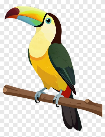 Colorful Toucan Perched On Branch PNG
