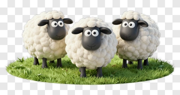 Three Cute Cartoon Sheep Standing On Grass PNG