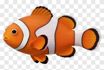 Clownfish PNG