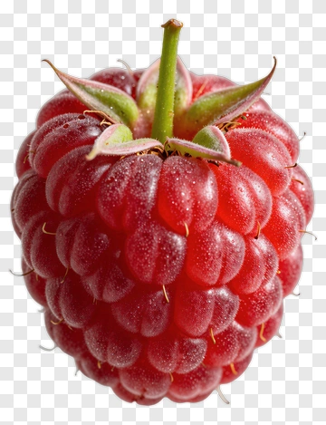 Fresh Raspberry PNG