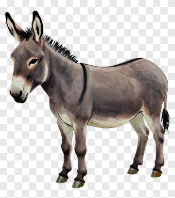 Donkey PNG