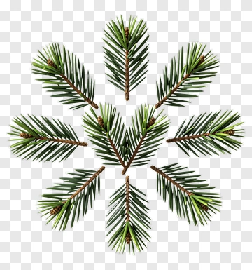 Pine Branch Snowflake Pattern PNG
