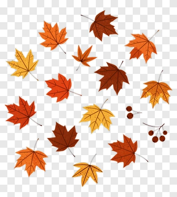 Fall Leaves And Berries PNG