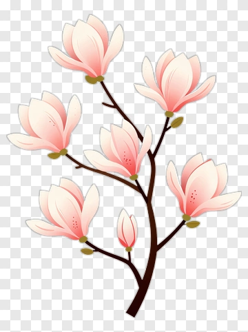 Pink Magnolia Flower Branch PNG